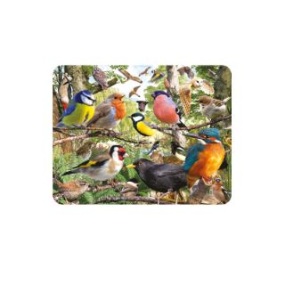 Obrázek z Magnet 3D 7x9cm - ptáci (25) 